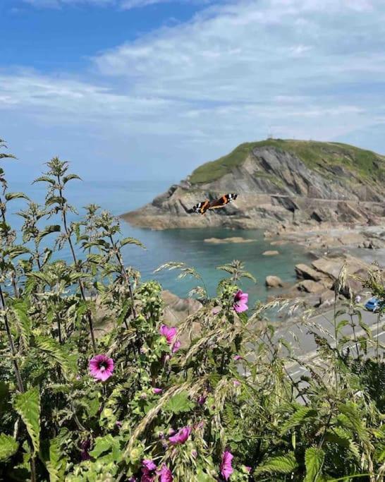 Paramount Apartments Ilfracombe, Arty Seaside Holiday Apartments Kültér fotó